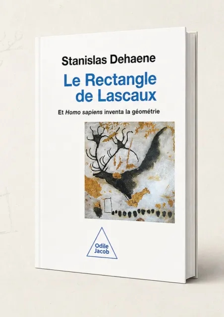 Lascaux, 1948 : la figure géométrique que presque personne n'a remarquée