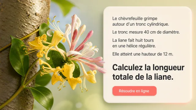 Le chèvrefeuille - Problème de maths | Tangente