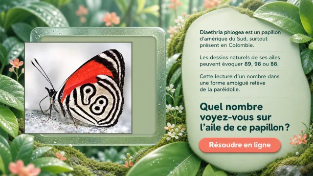 Les nombres vivants : le papillon 89 et les maths