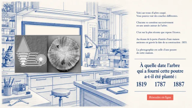 ♦ Un peu de dendrochronologie