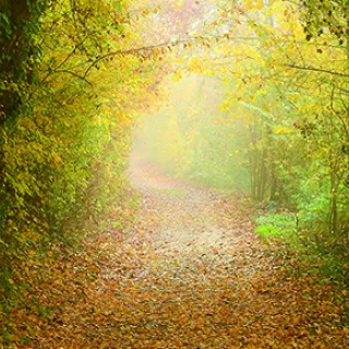Trouver son chemin vite et bien