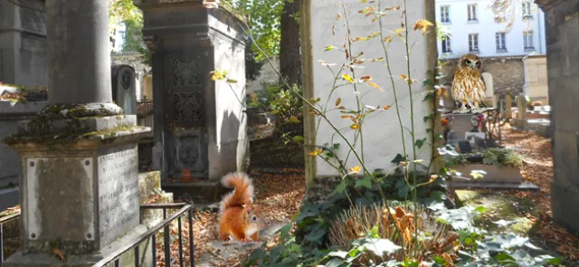 Les mathématiciens du Père-Lachaise | Tangente