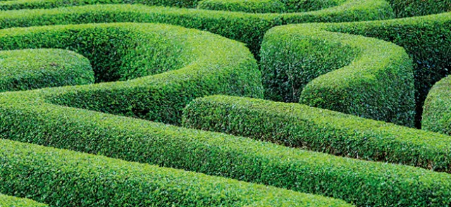 Les lieux géométriques