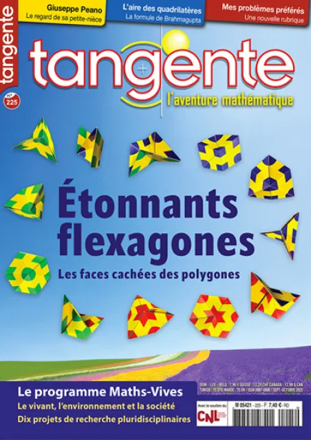 Étonnants flexagones