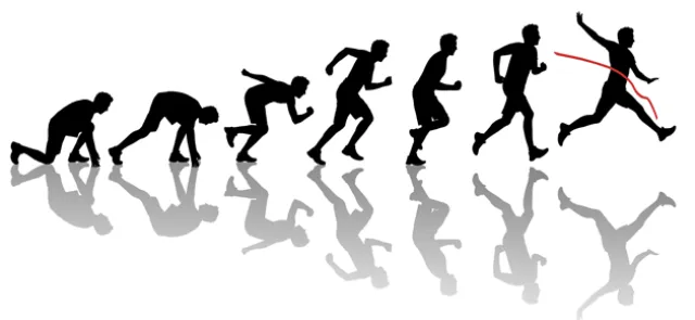 Modéliser l'entraînement sportif par les maths | Tangente