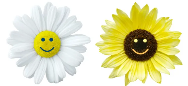Il en faut peu pour être heureux