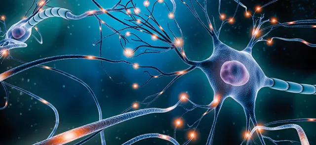 Ce qu’en pensent les neurologues | Tangente