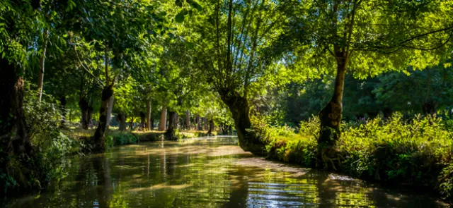 L'assèchement du Marais poitevin au XVIIe | Tangente