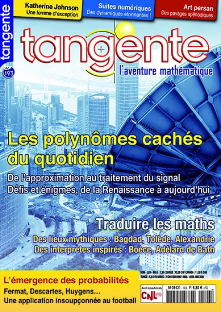 Les polynômes cachés du quotidien