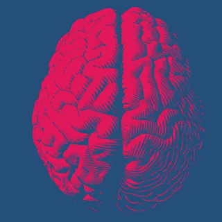 « Pour mieux comprendre  comment le cerveau fonctionne »