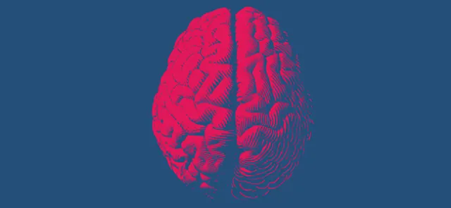 « Pour mieux comprendre  comment le cerveau fonctionne »