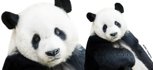 La R.O. pour préserver la biodiversité