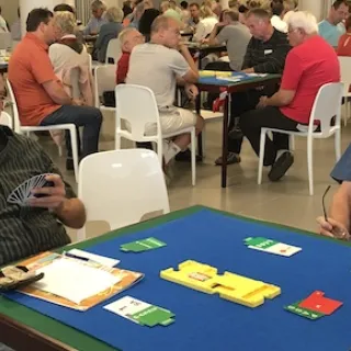 Le bridge : un pont entre jeux et statistiques