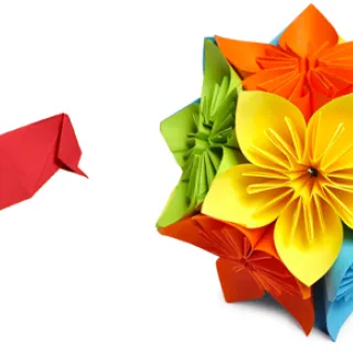 Origami et pliages pour construire