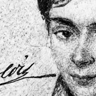 L'apport génial de Galois