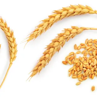 Grains sur l’échiquier et autres grandes puissances