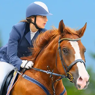 La technique du cavalier en jumping