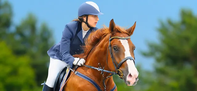 La technique du cavalier en jumping