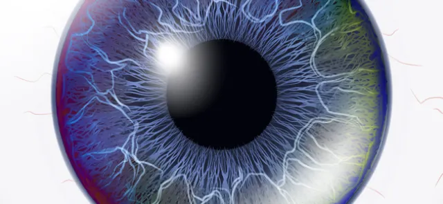 Un regard novateur sur les équations différentielles